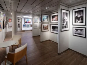 Gallery Thumbnail 4